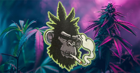 Patches
